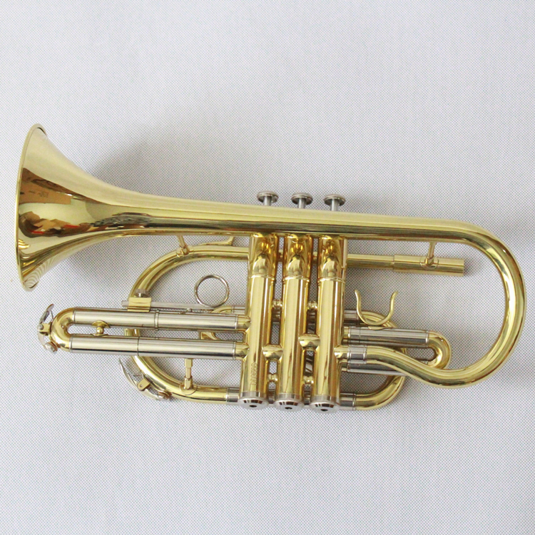 Cornet B Flat Cornet Musical I - Musical Instrument Cornet recension och pris