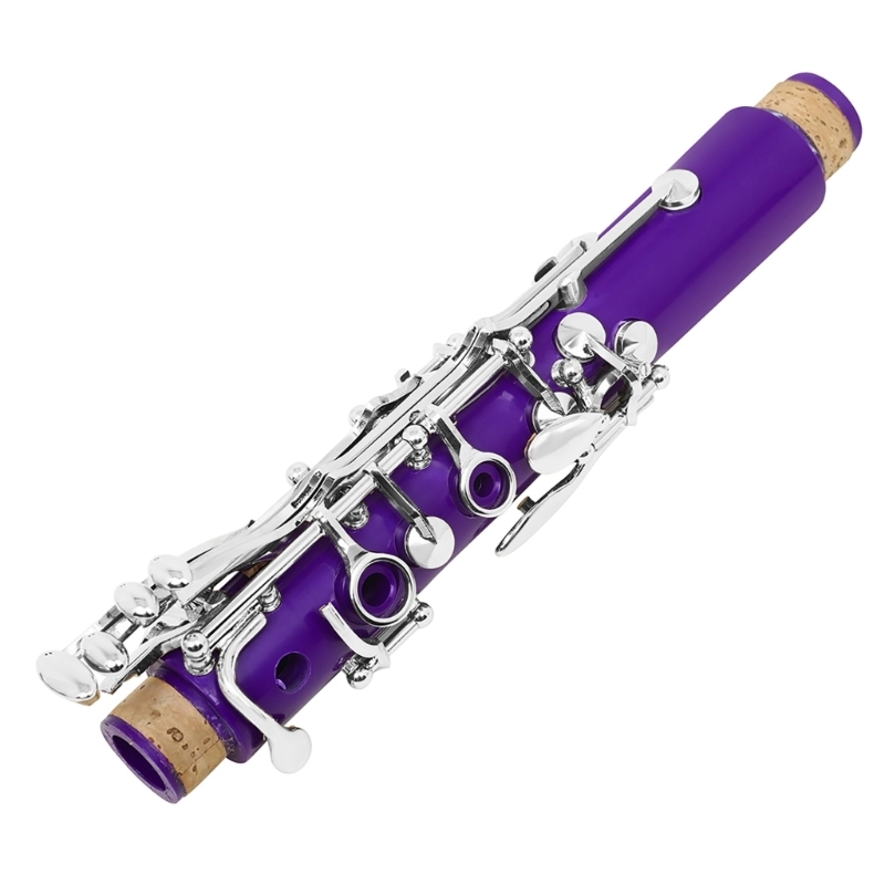 Woodwind Band & Orchestra Musi - Musical Instrument In Orchestra recension och pris