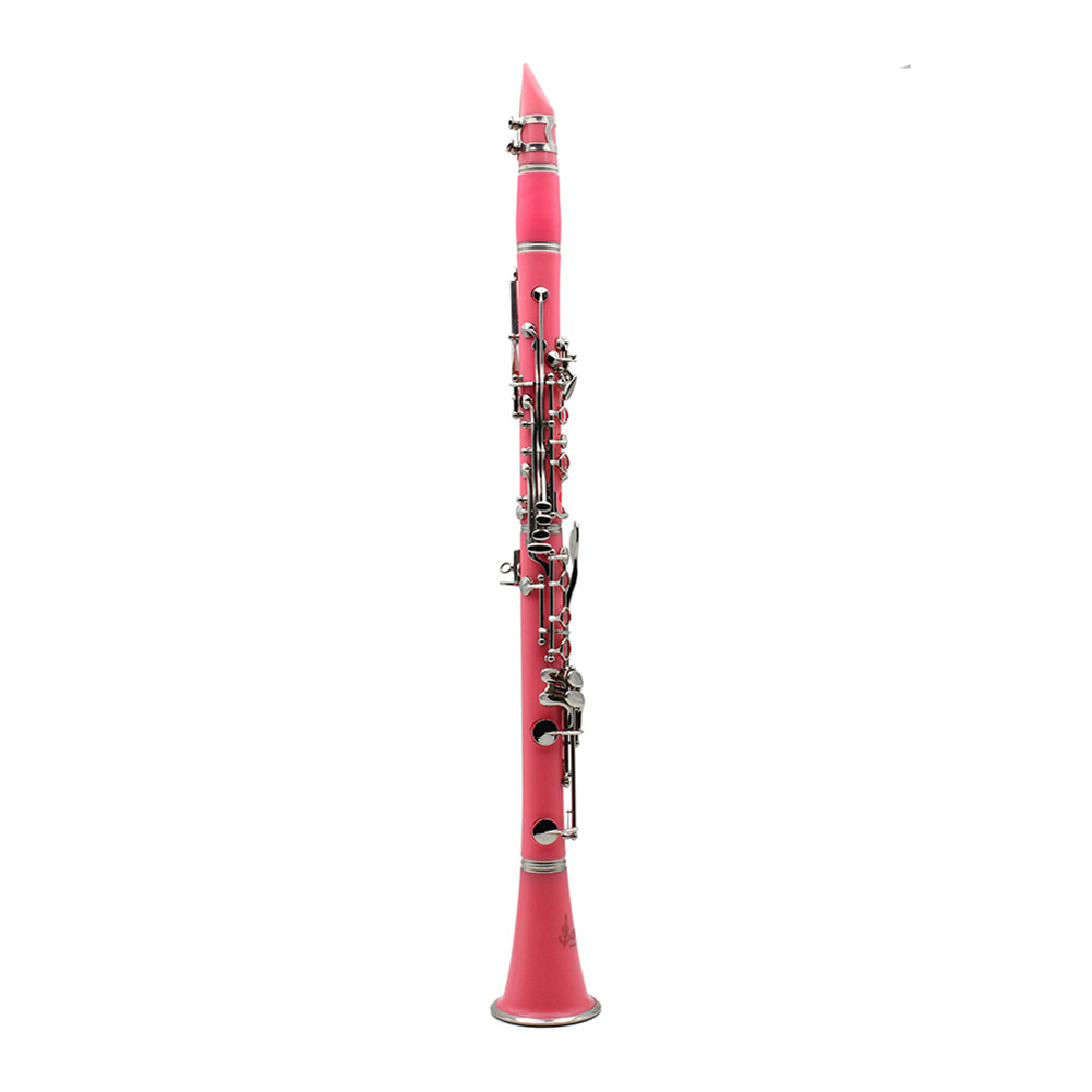Bb Clarinet 17 Keys with Case  - Musical Instrument In Orchestra recension och pris