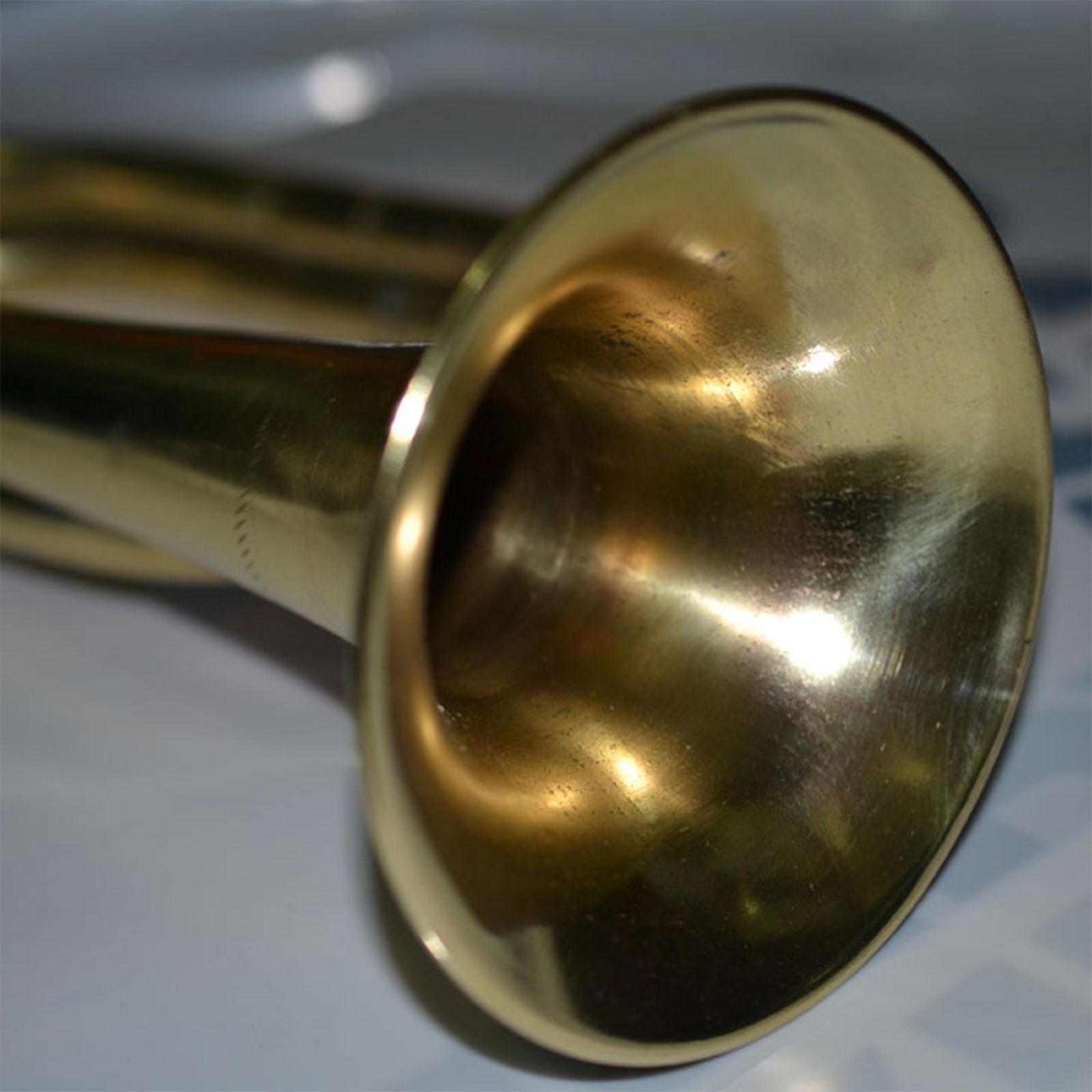 Camping Trumpet Brass Instrume - Musical Instrument In Orchestra recension och pris