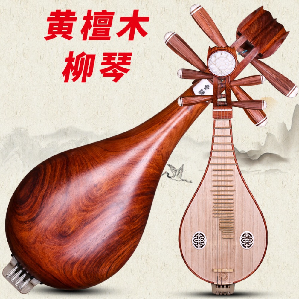 Beijing Xinghai 8414-A Rosewoo - Musical Instrument Of recension och pris