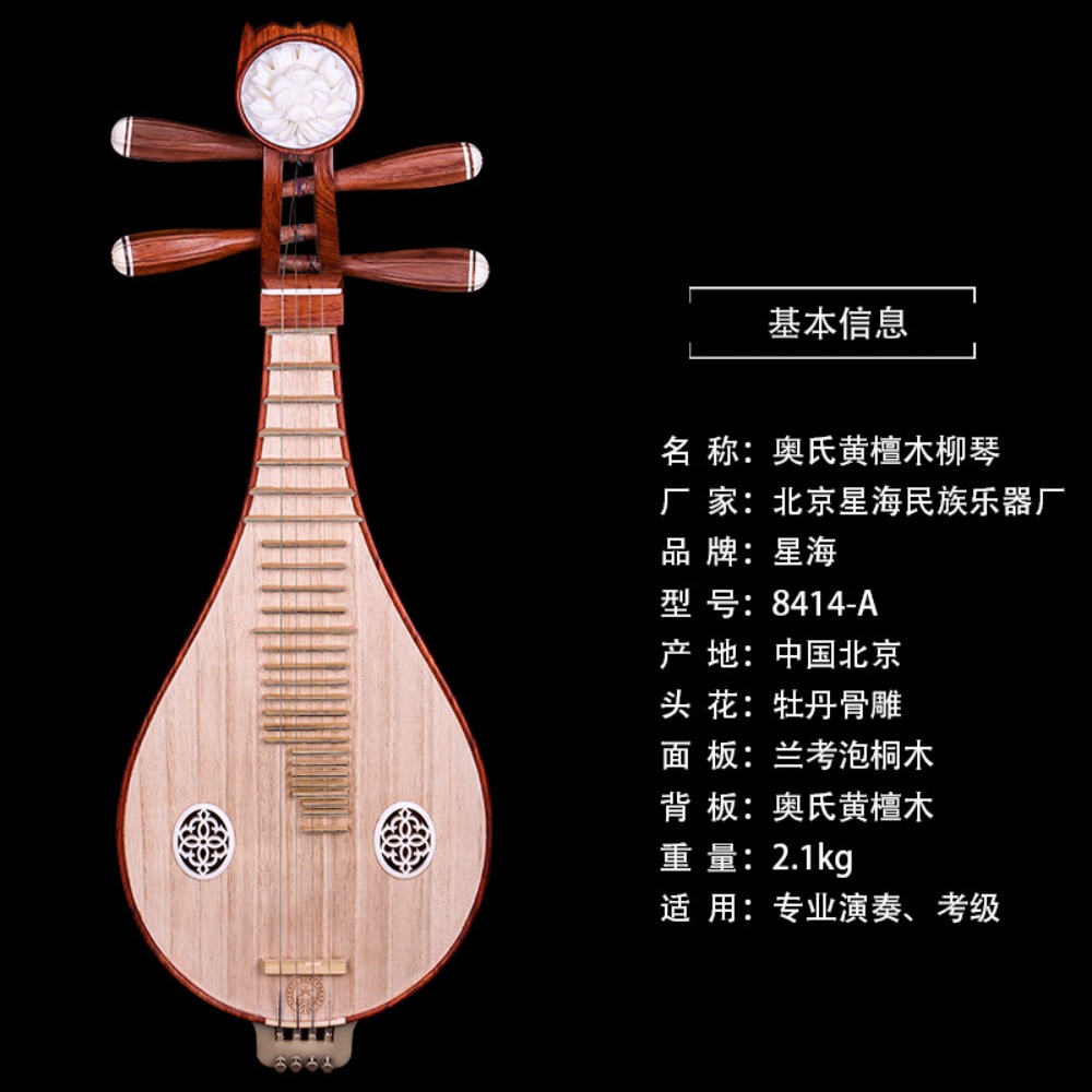 Beijing Xinghai 8414-A Rosewoo - Musical Instrument Of recension och pris