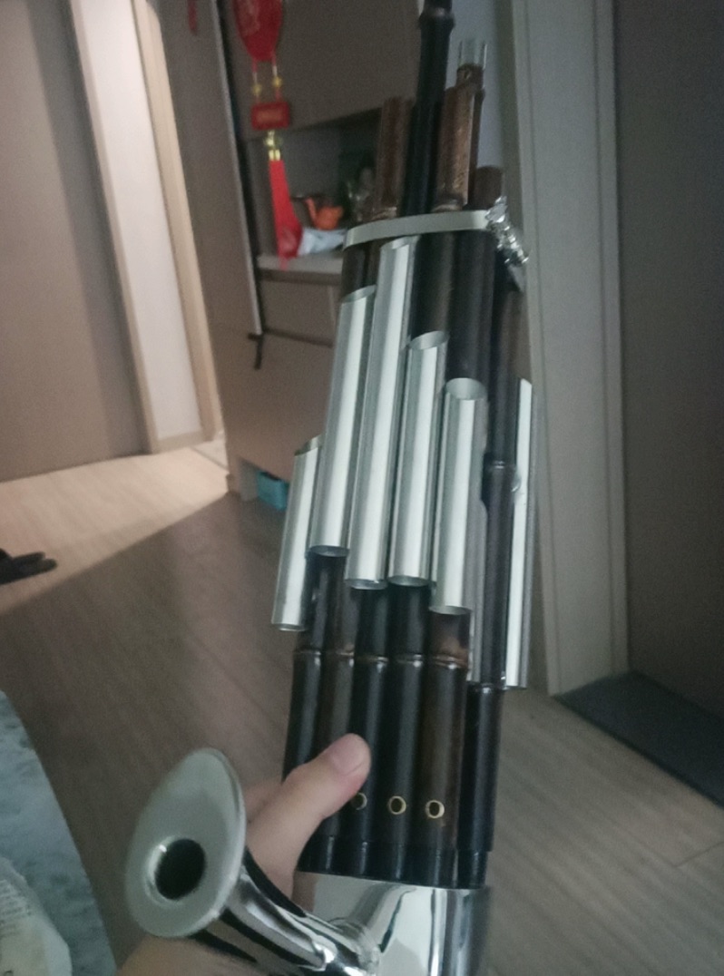 17 Reeds Sheng, Purple Bamboo  - Musical Instrument Reed recension och pris
