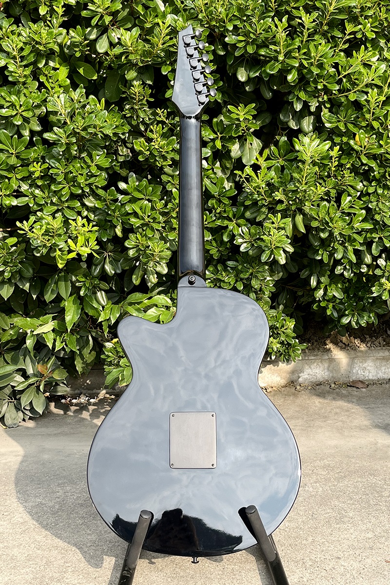 Acoustic Electric Guitar With  - Musical Instrument Logo recension och pris
