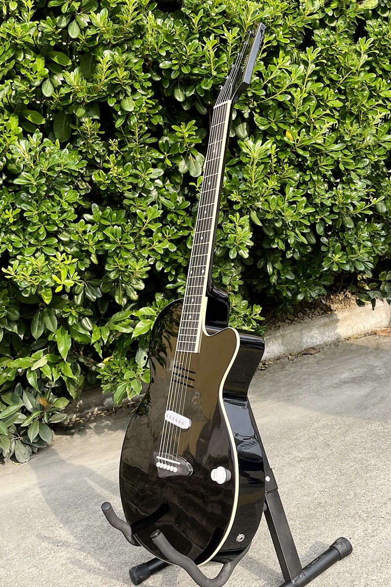 Acoustic Electric Guitar With  - Musical Instrument Logo recension och pris