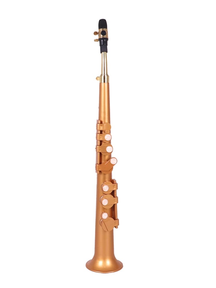 Saxophone Littlesax Pocket Sax - Musical Instrument Reed recension och pris
