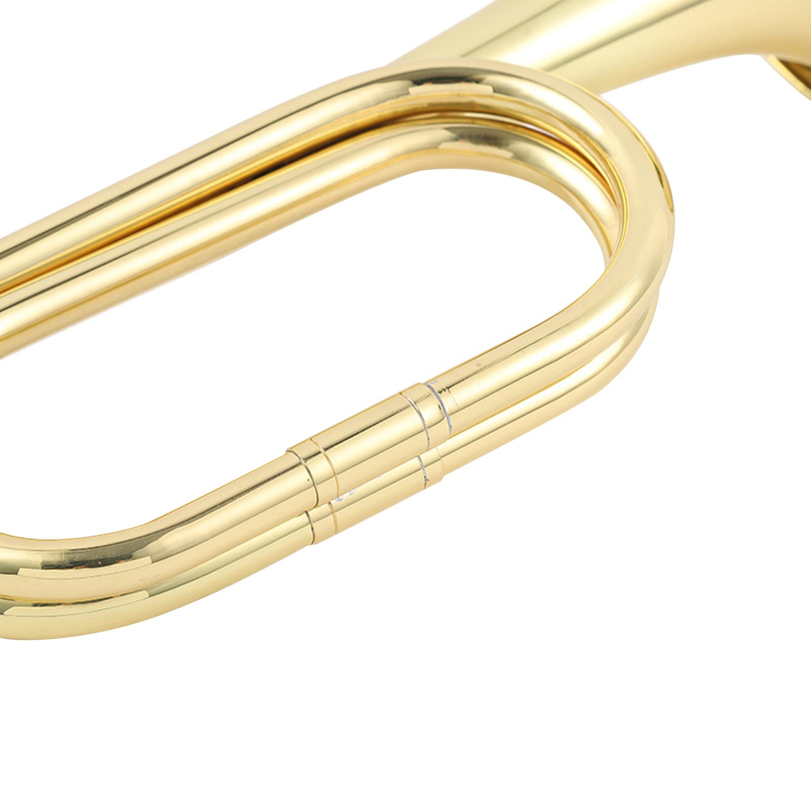Mini Brass Instrument Trumpet  - Musical Instrument In Orchestra recension och pris