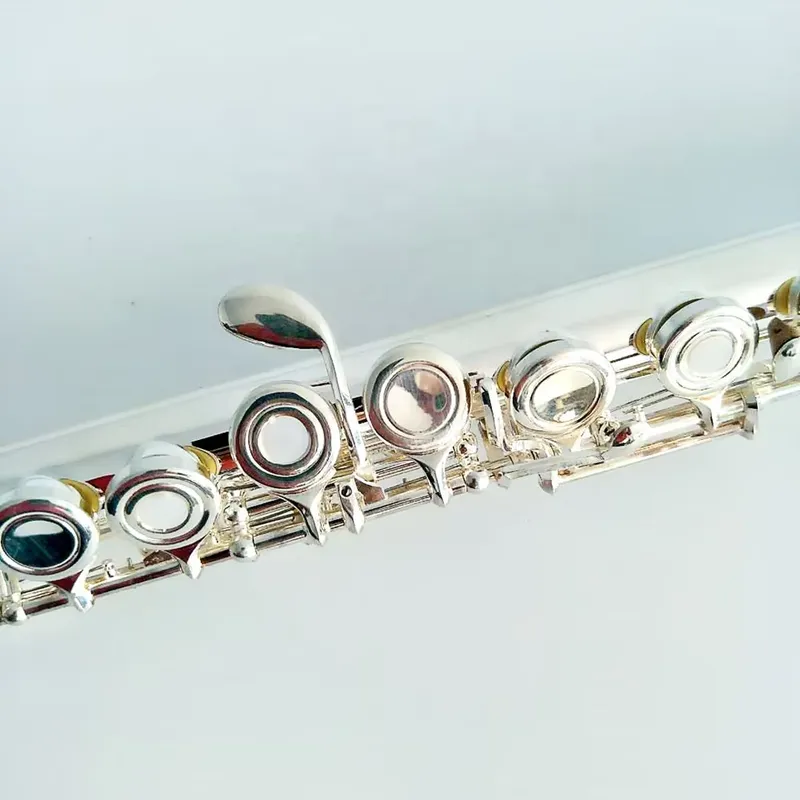16 17 Hole Silver Plated Flute - Musical Instrument In Orchestra recension och pris