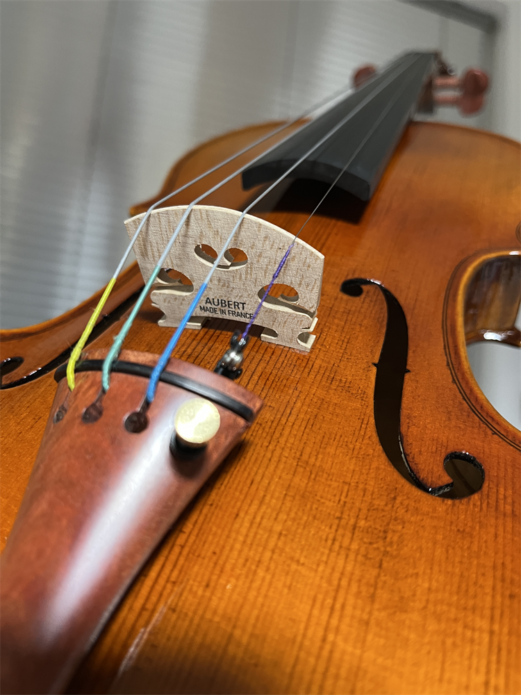 Lady Use One-Piece Back Wood H - Musical Instrument Violin recension och pris